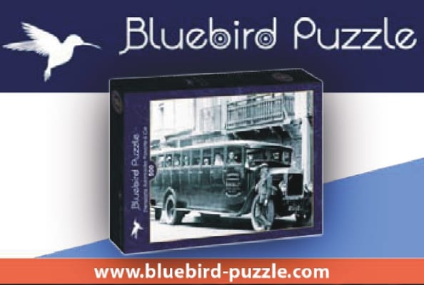 Bluebird Puzzle