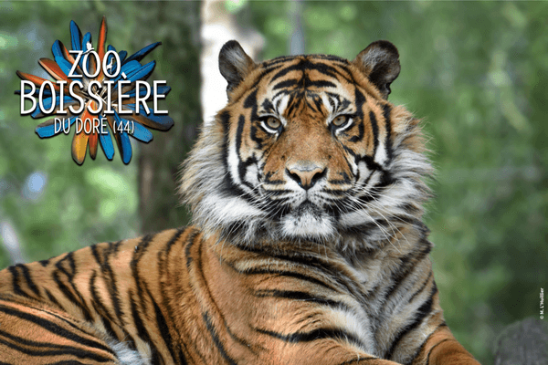 Zoo de la Boissière-du-Doré